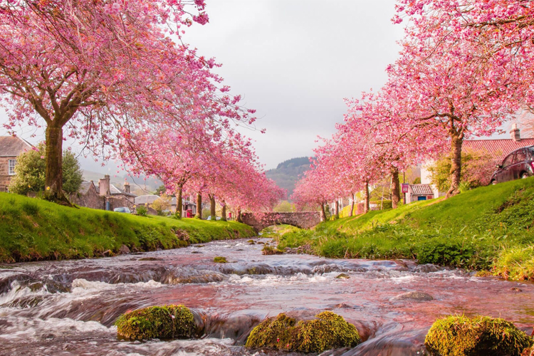 Du lịch Nhật Bản với nền văn hóa đa dạng, ẩm thực phong phú và cảnh quan tuyệt đẹp chắc chắn sẽ làm bạn hài lòng. Hãy thử khám phá những điểm đến hấp dẫn nhất của đất nước hoa anh đào này và tận hưởng những trải nghiệm đầy thú vị.